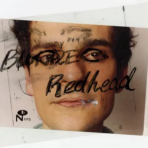Blonde Redhead: Masculin Féminin