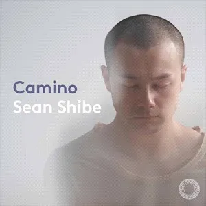 Shibe Sean: Camino