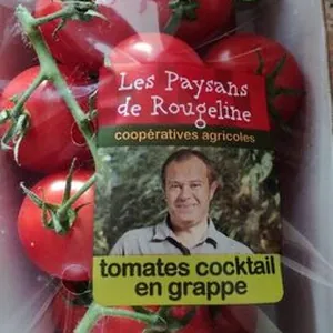 Tomates Cocktail en grappes