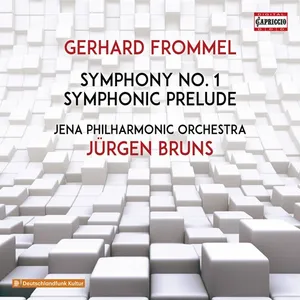 Frommel Gerhard: Symphony No 1