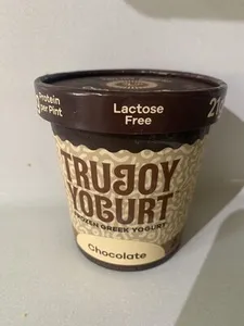 Chocolate Frozen Greek Yogurt