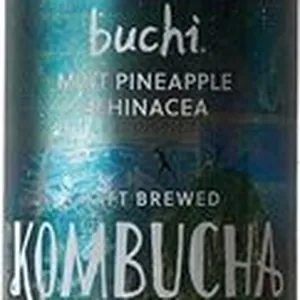 Air kombucha Mint Pineapple echinacea