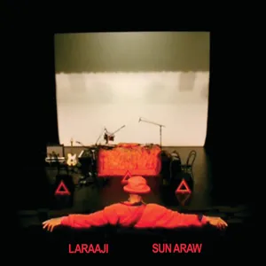 Laraaji & Sun Araw: Professional Sunflow