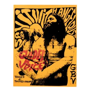 Guided by Voices: Tonics & Twisted Chasers