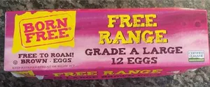Free Range Eggs