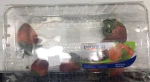 Expo Fresh Strawberries Fraises