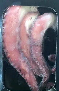 Llcoocked octopus