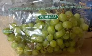 Green seedless grapes