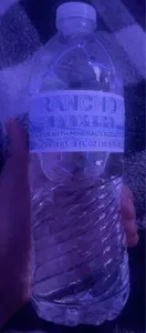 Water bottle