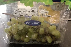 Green Seedless Grapes