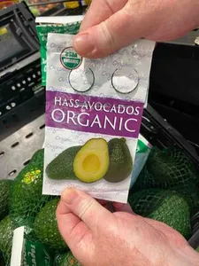 Hass Avocados Organic