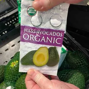 Hass Avocados Organic