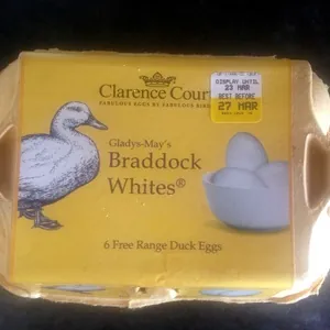 Braddock Whites Duck Eggs