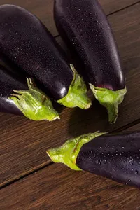 Aubergine