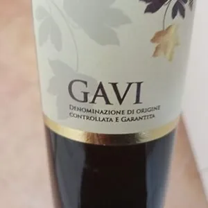Gavi