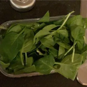 Spinach