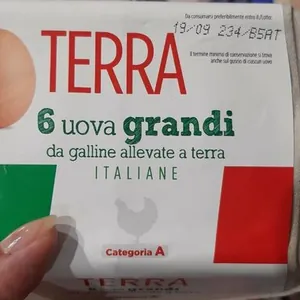 uova grandi allevate a terra