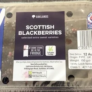 Scottish Blackberries