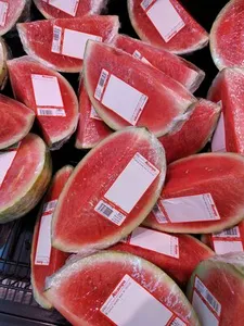 Sandia