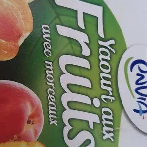 Yaourt aux fruits avec morceaux