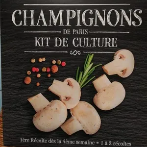 Champignons de Paris