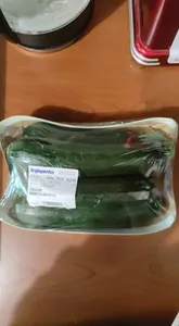 il gigante ZUCCHINA PRODOTTO BIOLOGICO