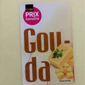Gouda