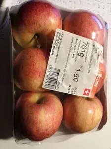 Pomme Gala