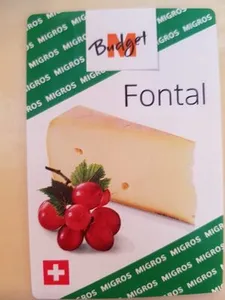 Fontal Mbuget