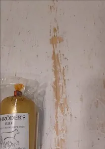 Geflügel Leberwurst