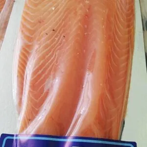 Salmon