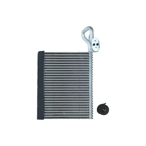 Förångare till AC KAMOKA 7770049