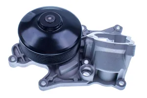 Bromsbacksats DENCKERMANN A310961P