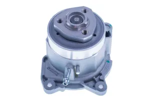 Bromsbacksats DENCKERMANN A310976P