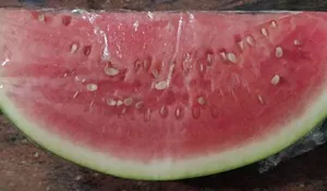 Sandia