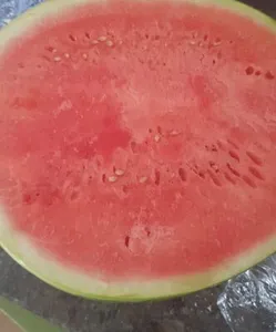 SANDIA