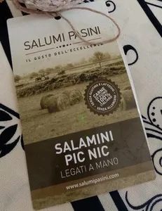 Salamini
