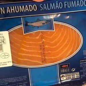Salmon