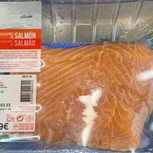 Salmon