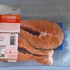 Salmon