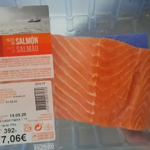 Salmon