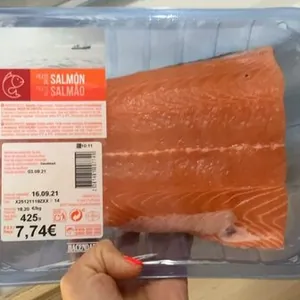 Salmon