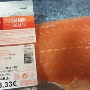 Salmon