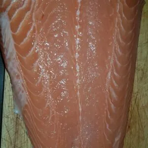 Salmon