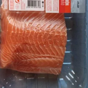 Salmon