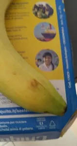Banane chiquita