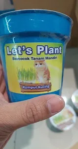 Rumput Kucing