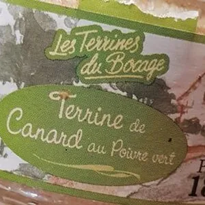 Terrine de Canard au poivre vert
