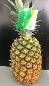 Piña