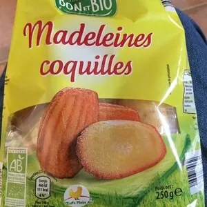 Madeleines coquilles